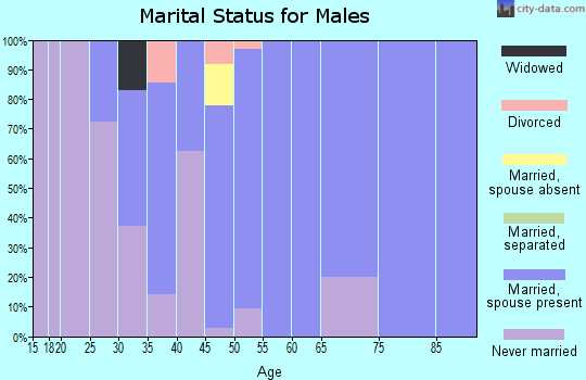 Zip code 57479 marital status for males