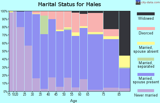 Zip code 57501 marital status for males