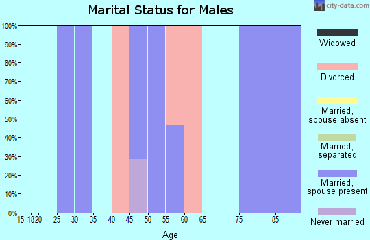 Zip code 57520 marital status for males