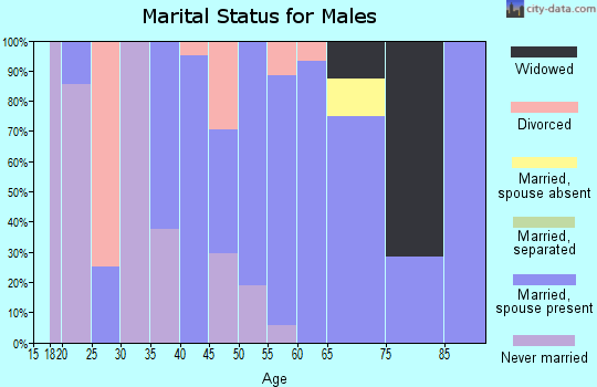 Zip code 57522 marital status for males