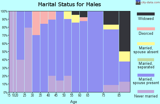 Zip code 57523 marital status for males