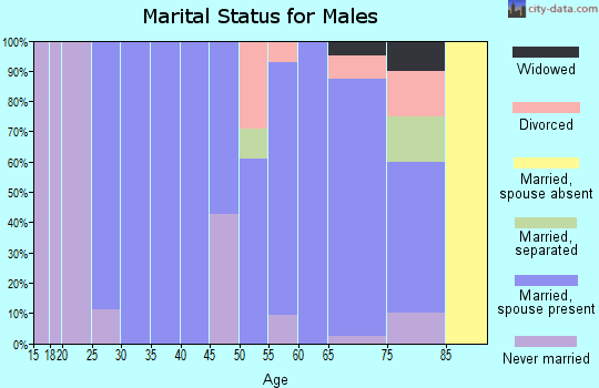 Zip code 57528 marital status for males