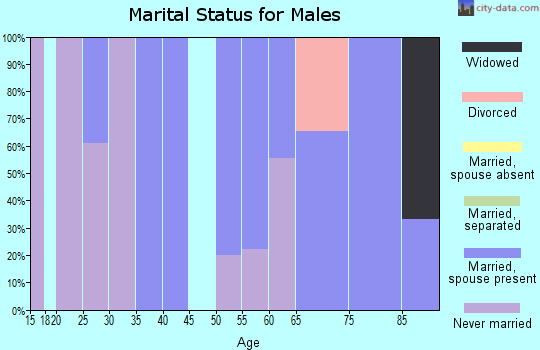 Zip code 57531 marital status for males