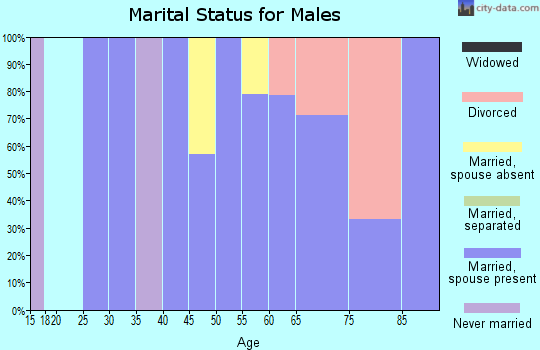 Zip code 57538 marital status for males