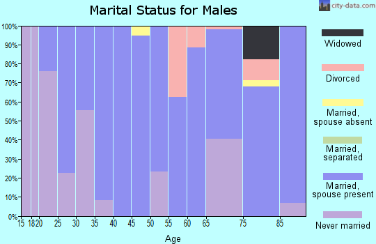 Zip code 57543 marital status for males