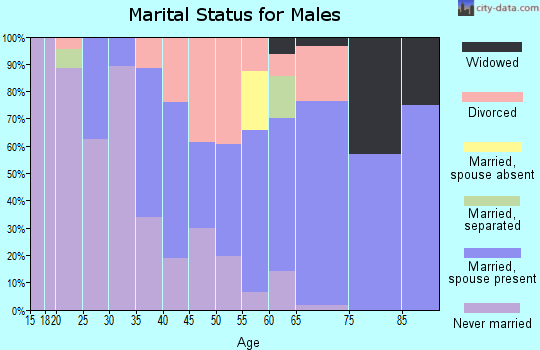 Zip code 57551 marital status for males