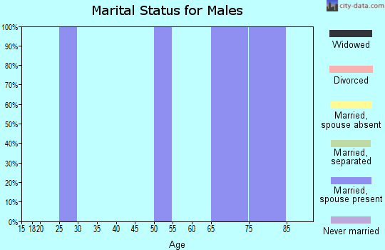 Zip code 57562 marital status for males