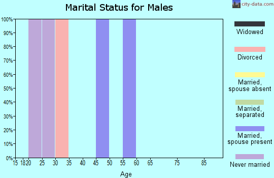 Zip code 57563 marital status for males