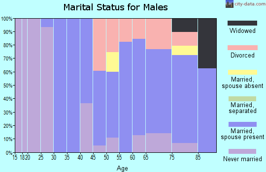 Zip code 57564 marital status for males