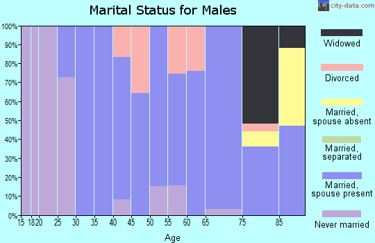 Zip code 57567 marital status for males