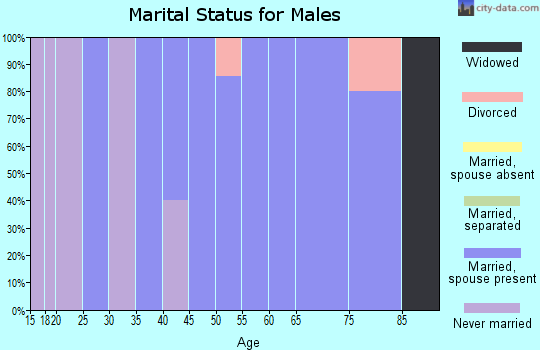 Zip code 57569 marital status for males