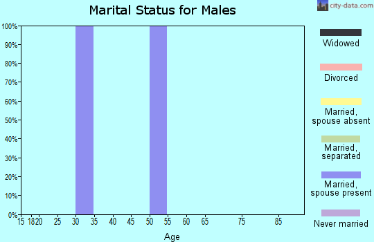 Zip code 57571 marital status for males