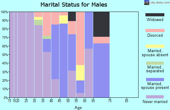 Zip code 57572 marital status for males