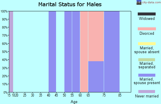 Zip code 57576 marital status for males
