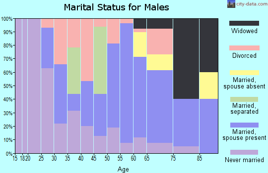 Zip code 57579 marital status for males