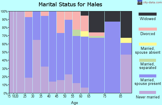 Zip code 57601 marital status for males