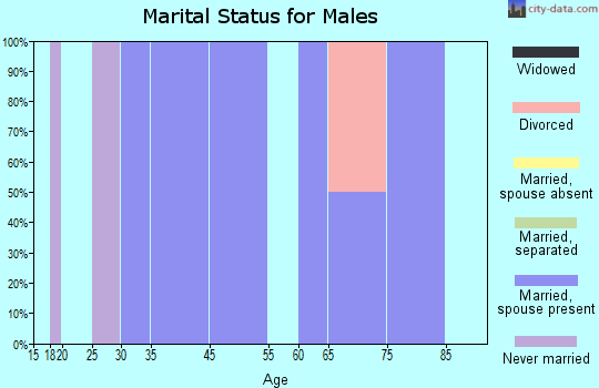 Zip code 57628 marital status for males