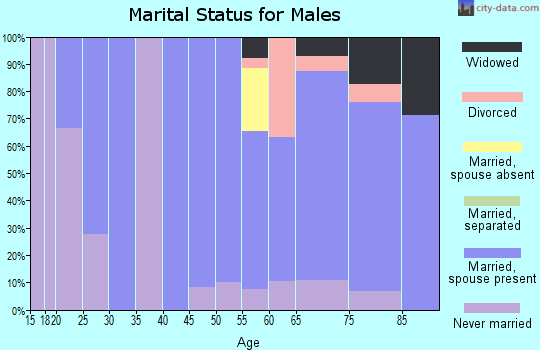 Zip code 57632 marital status for males
