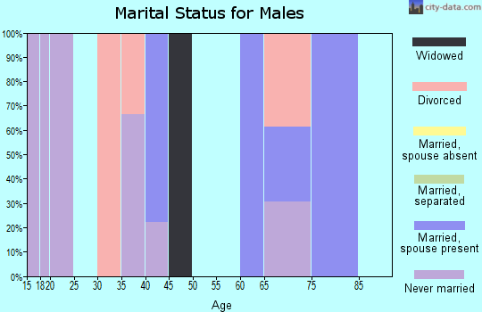 Zip code 57652 marital status for males
