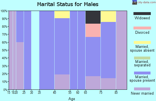 Zip code 57653 marital status for males