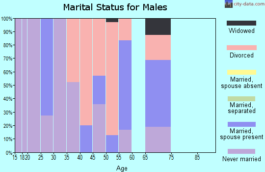 Zip code 57658 marital status for males