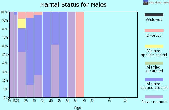 Zip code 57706 marital status for males