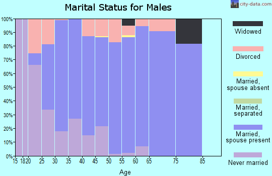 Zip code 57718 marital status for males