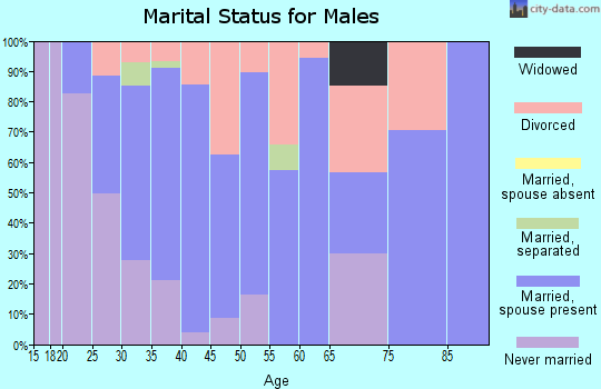 Zip code 57719 marital status for males