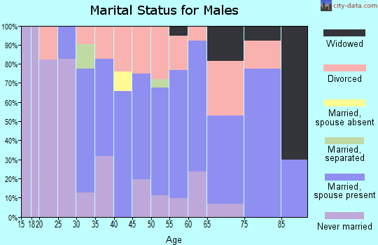 Zip code 57732 marital status for males
