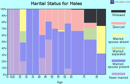 Zip code 57735 marital status for males
