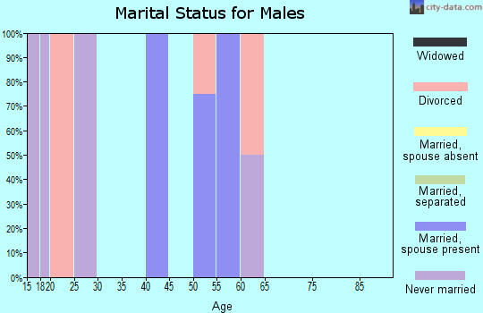 Zip code 57738 marital status for males