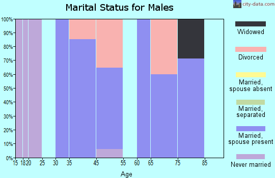 Zip code 57742 marital status for males