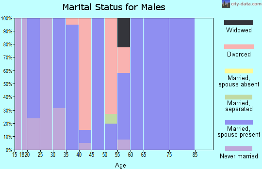Zip code 57751 marital status for males