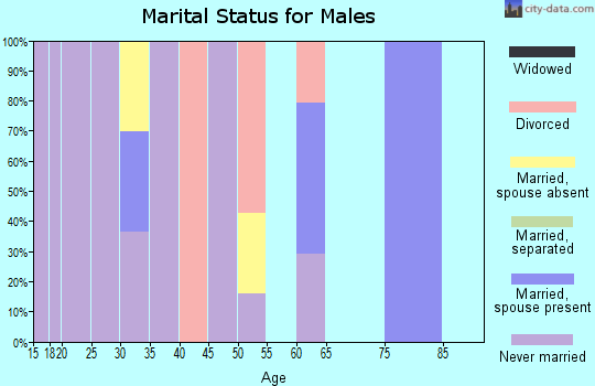 Zip code 57756 marital status for males