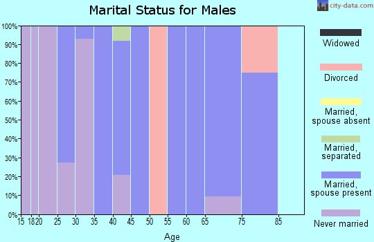 Zip code 57763 marital status for males