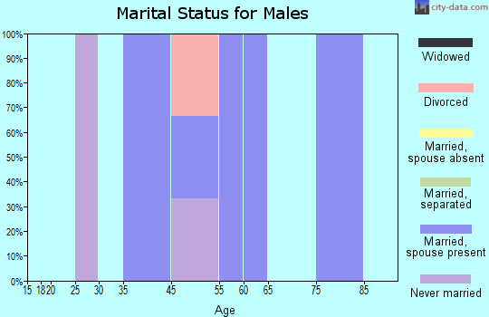 Zip code 57778 marital status for males
