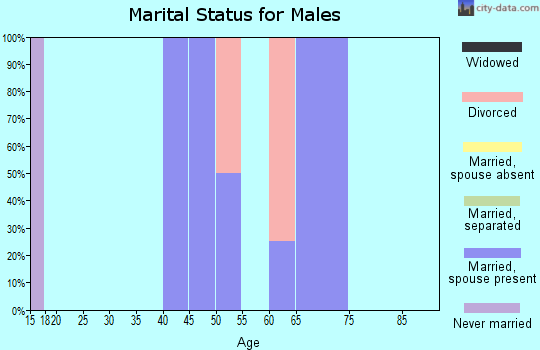Zip code 58001 marital status for males