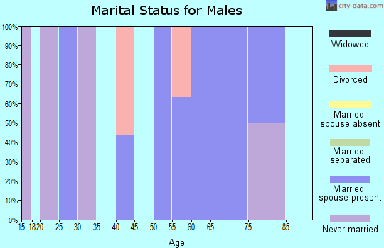 Zip code 58004 marital status for males