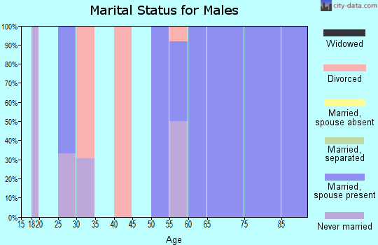Zip code 58013 marital status for males
