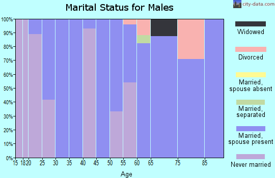 Zip code 58031 marital status for males