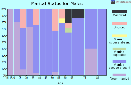 Zip code 58040 marital status for males