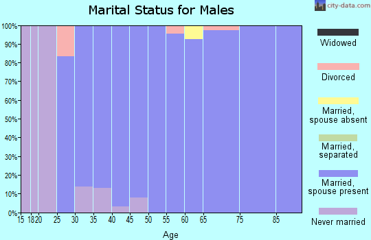 Zip code 58042 marital status for males