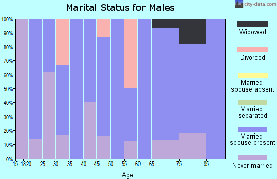 Zip code 58048 marital status for males