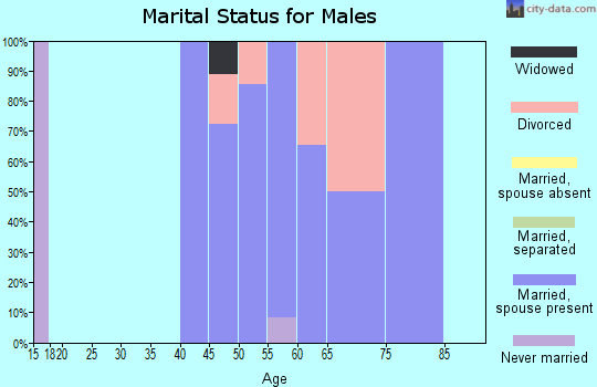Zip code 58049 marital status for males