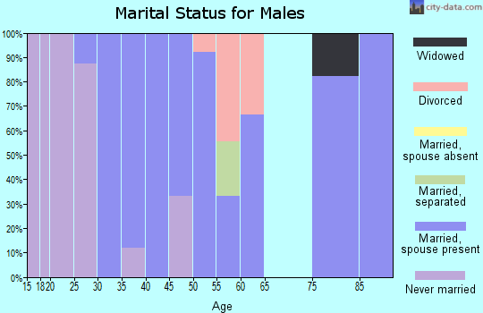 Zip code 58061 marital status for males