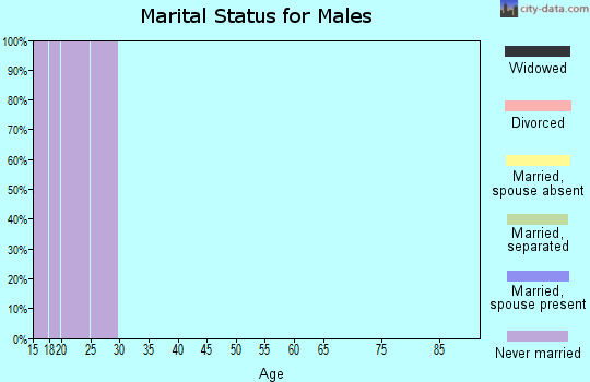 Zip code 58202 marital status for males