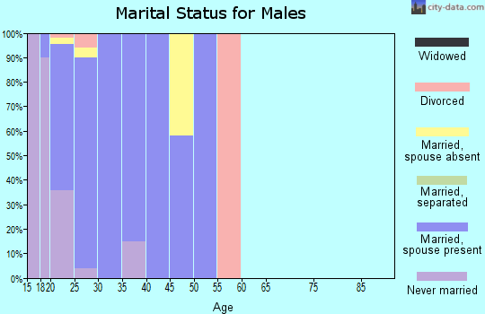 Zip code 58204 marital status for males