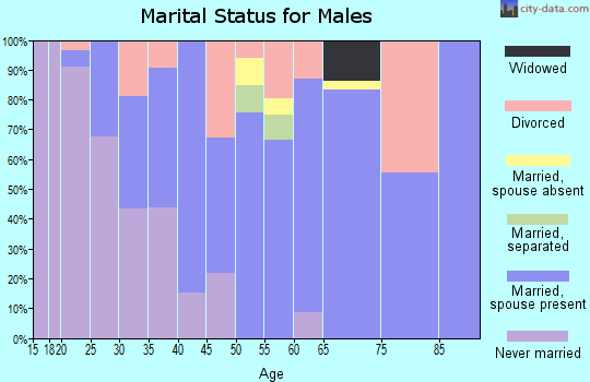 Zip code 58228 marital status for males