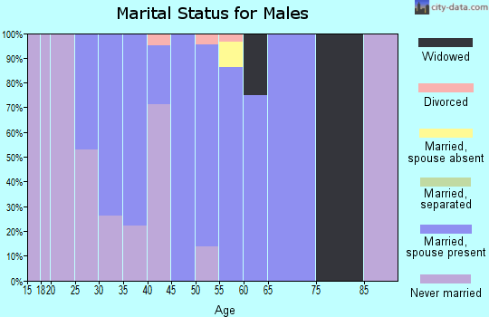 Zip code 58235 marital status for males