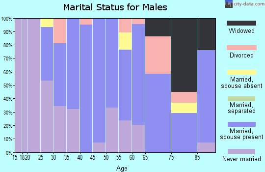 Zip code 58240 marital status for males